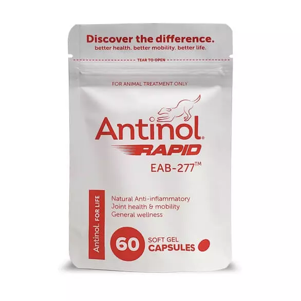 Antinol Rapid EAB-277 for Dogs 60 Capsules 1
